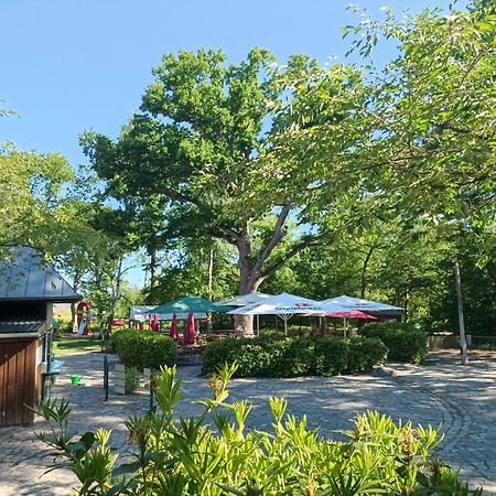 Hotel Schloesschen Sundische Wiese ซิงสท์ ภายนอก รูปภาพ